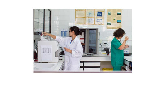 Laboratorio Clínico Ferreñafe