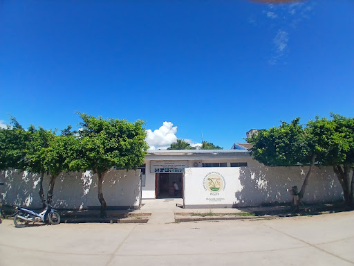 Centro de Salud Mental Comunitario Picota