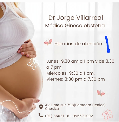 DR VILLARREAL GINECOOBSTETRA CHOSICA