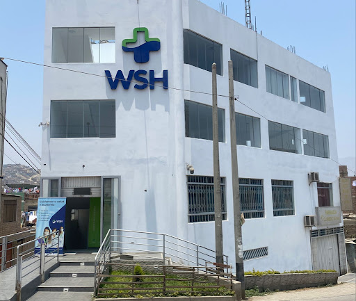 WSH red de salud | Pachacamac