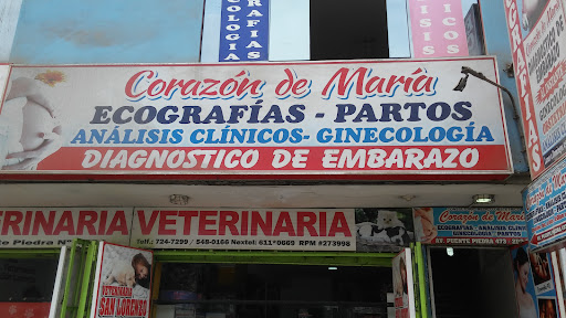 Consultorio-Corazon De Maria