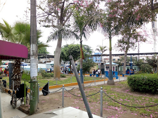 CENTRO MEDICO SOLIDARIO