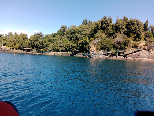 Dr. Herberth Valdivia Obando, Neurólogo