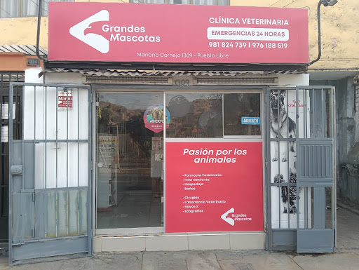 Veterinaria 24 horas GRANDES MASCOTAS / Emergencias