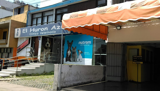 El Hurón Azul Clínica Veterinaria