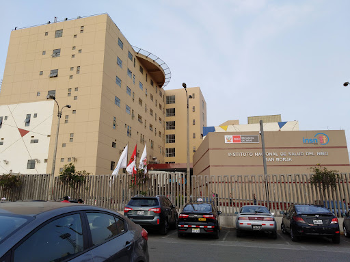 Instituto Nacional de Salud del Niño - San Borja