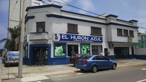El Hurón Azul Clínicas Veterinarias - Sede San Miguel 24 horas