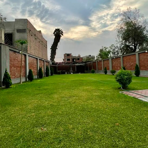 Centro de Salud Mental “Antares salud”