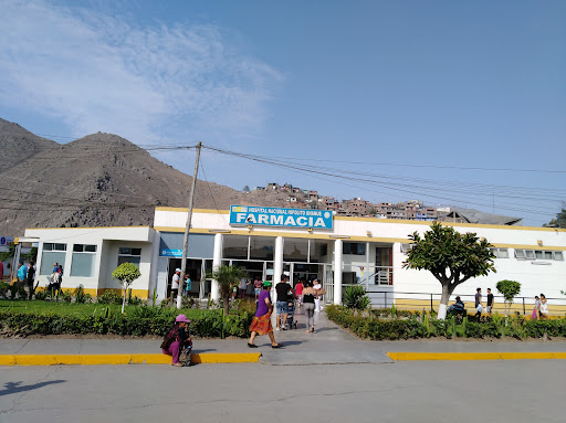 Hospital Nacional Hipólito Unanue