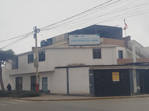 CENTRO DE SALUD MENTAL COMUNITARIO SAN PEDRO DE LURIN