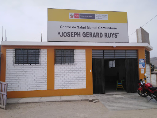 CENTRO DE SALUD MENTAL COMUNITARIO JOSEPH GERARD RUYS