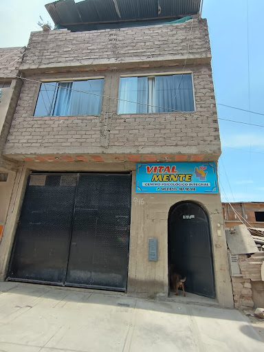CENTRO PSICOLÓGICO INTEGRAL VITALMENTE