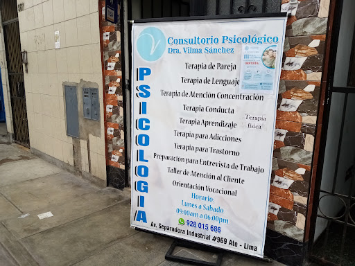 Consultorio Psicológico Dra Vilma Sánchez