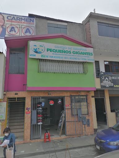 Centro de Terapias Pequeños Gigantes EIRL.