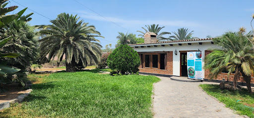Casa Nuevo Vivir