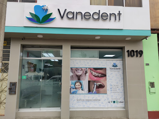 Vanedent