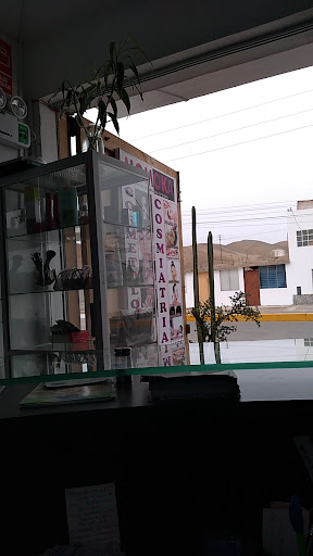 MOMOKA SALUD Y BIENESTAR