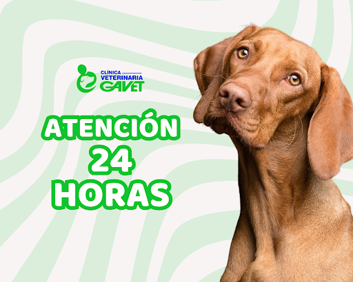 Clinica veterinaria Gavet - Puente Piedra